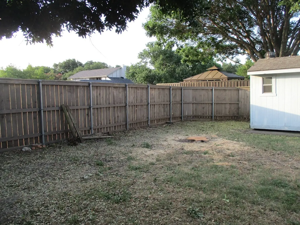 Cleared yard after professional tree removal in Blaine